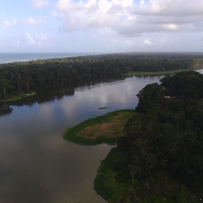 Discover-the-magic-of-the-rainforest-after-dark-a-night-tour-at-lirio-lodge