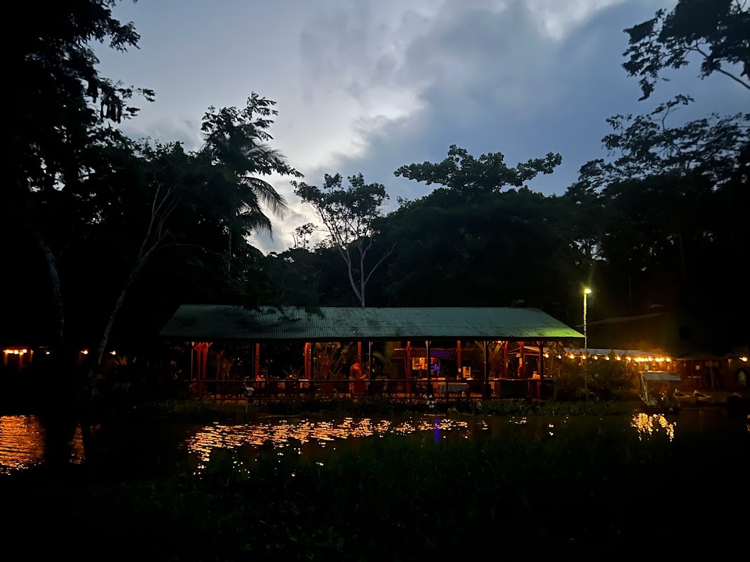 Discover-the-magic-of-the-rainforest-after-dark-a-night-tour-at-lirio-lodge