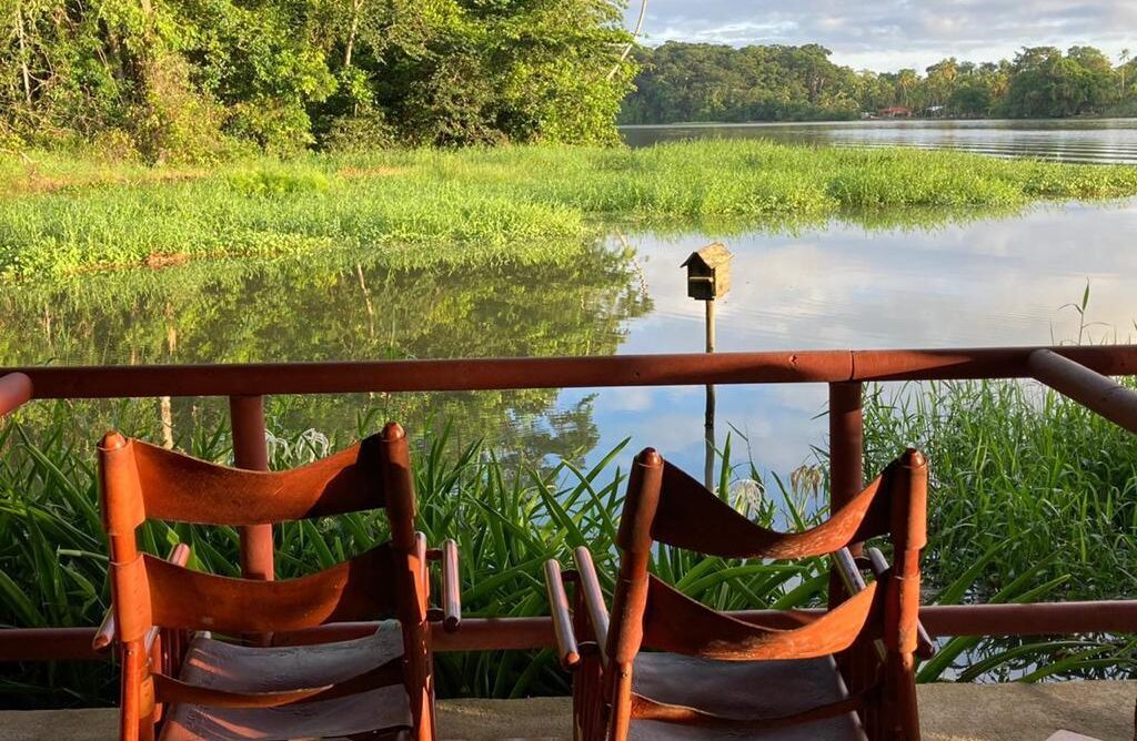 Bird-watching-at-lirio-lodge-discovering-the-agami-heron-on-costa-ricas-caribbean-coast