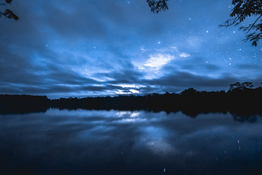 Discover-the-magic-of-the-rainforest-after-dark-a-night-tour-at-lirio-lodge